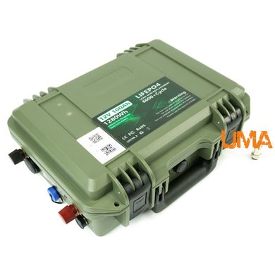 Акумуляторна батарея LiFePO4 12V 100Ah у водонепроникному кейсі