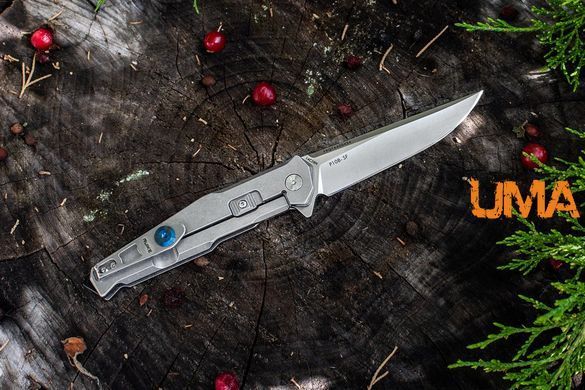 Ніж складаний Ruike P108-SF